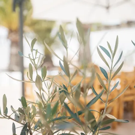 Ferienhaus Calma House - Costa Blanca