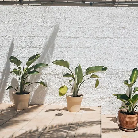 Ferienhaus Calma House - Costa Blanca